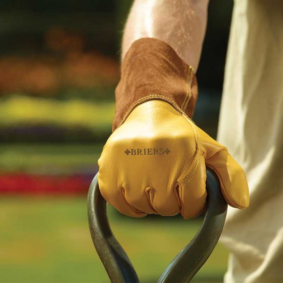 Briers ULTIMATE GOLDEN LEATHER GAUNTLET | Professional Thorn-Resistant Gardening Gauntlets (L)