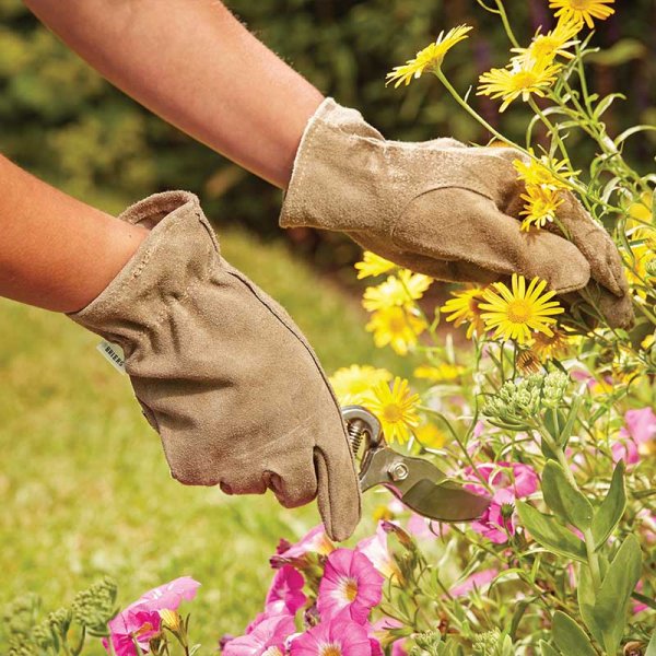 Briers PREMIUM SUEDE GARDENER | Olive – Thorn & Puncture Resistant Gardening Gloves