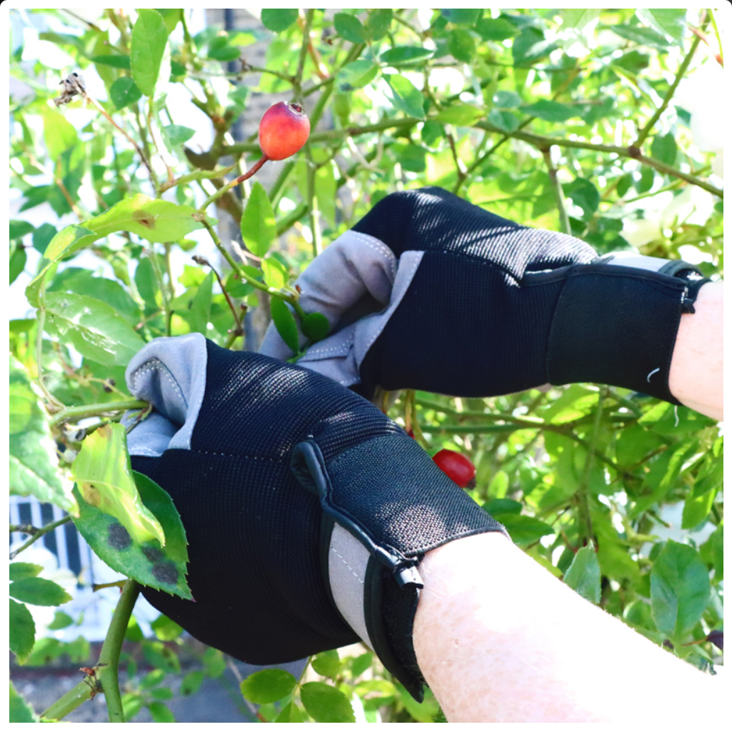 Briers Advanced Smart Gardening Gloves | Professional Protection & Precision Fit